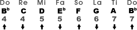 Major Scale in the Key of B♭